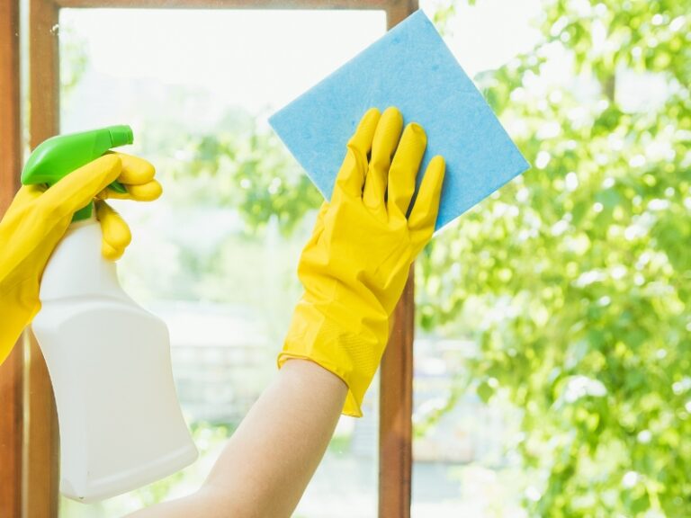 Domestic support assistant cleaning window with spray bottle and cloth for household maintenance.